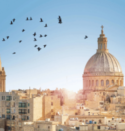 Study In Malta from Senegal